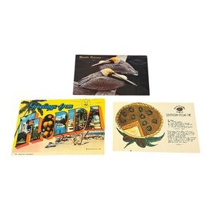 Set of 3 Vintage Florida Postcards Set Souvenir Post Cards